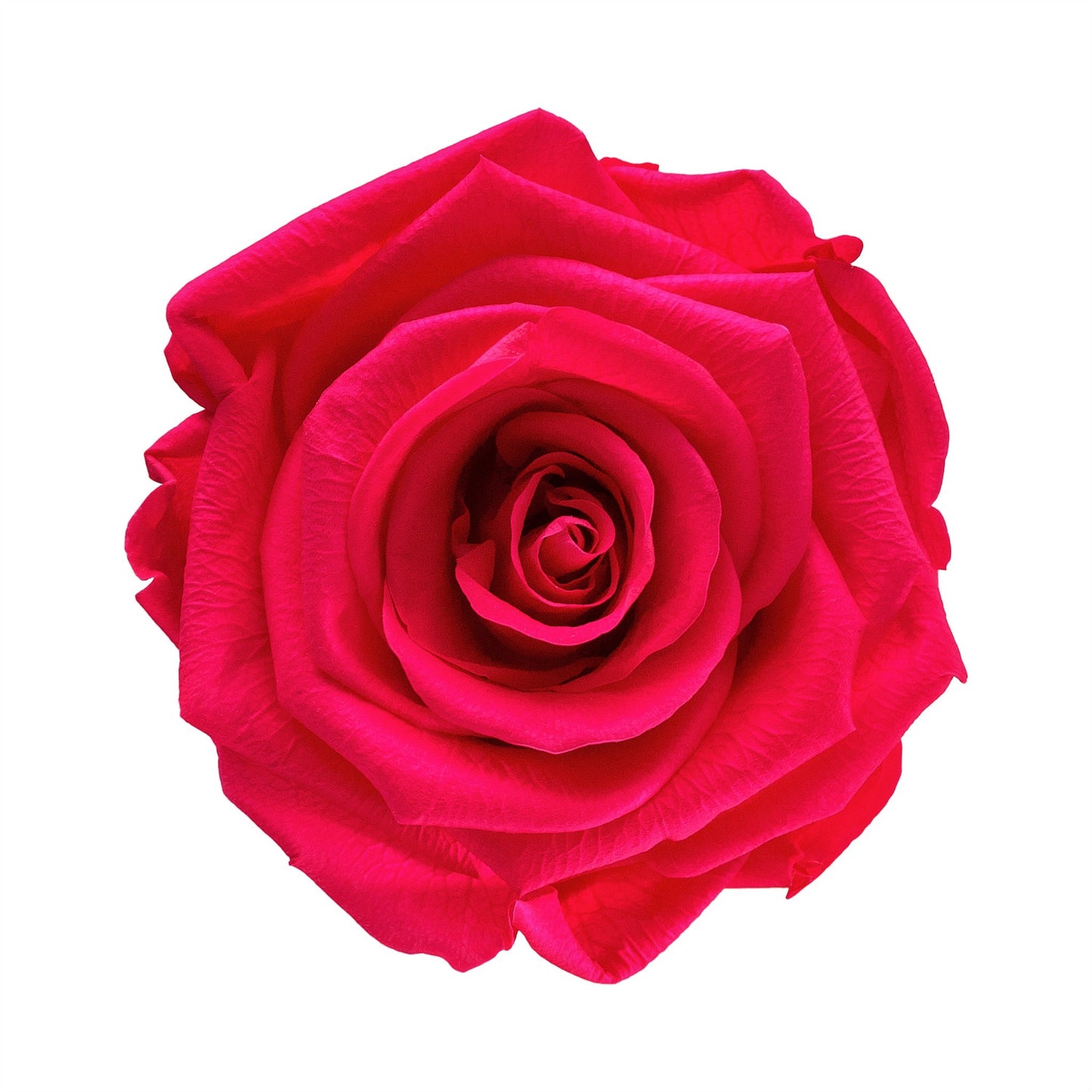 Forever Rose & White Extra Small Round Hat Box