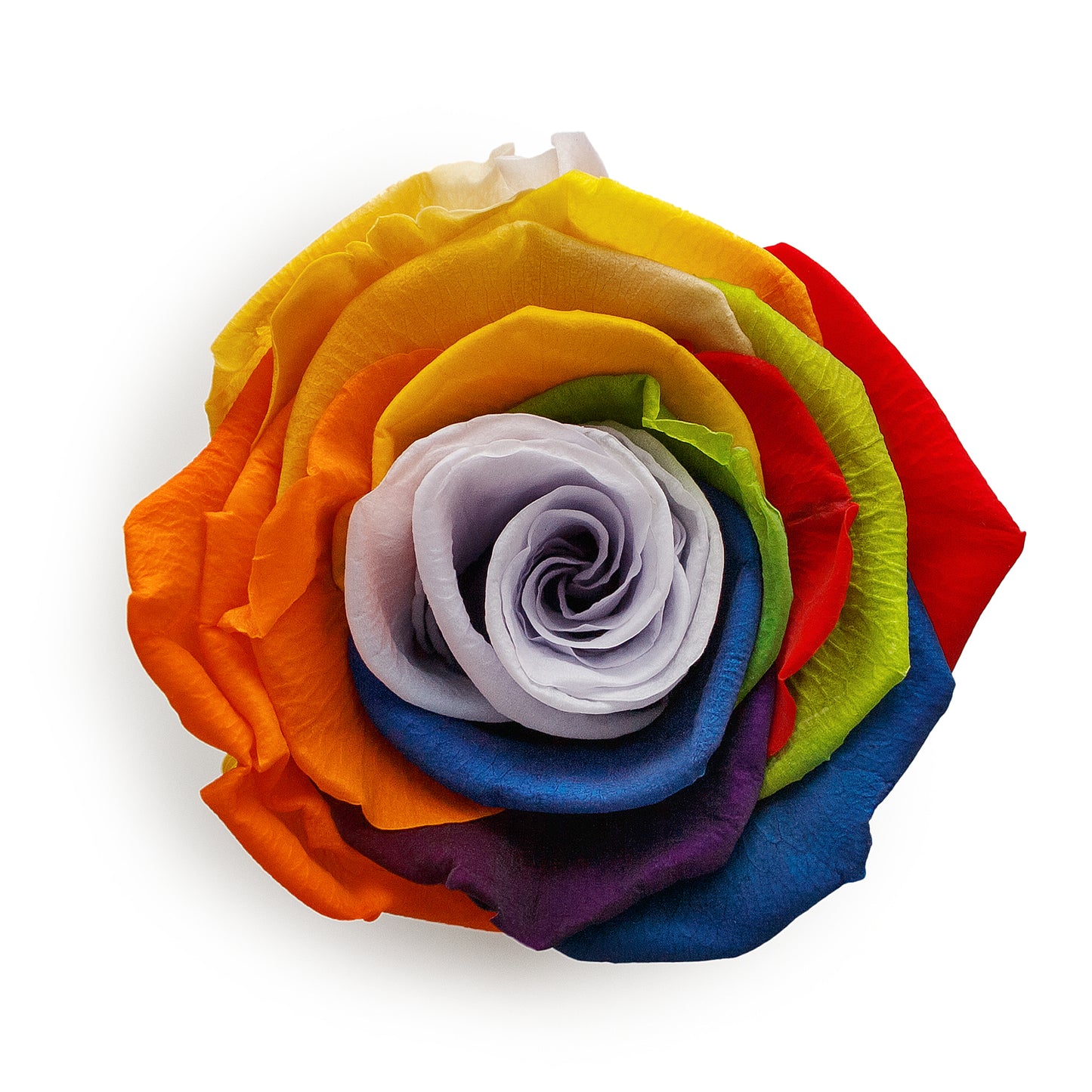 Forever Roses & S Round White Box