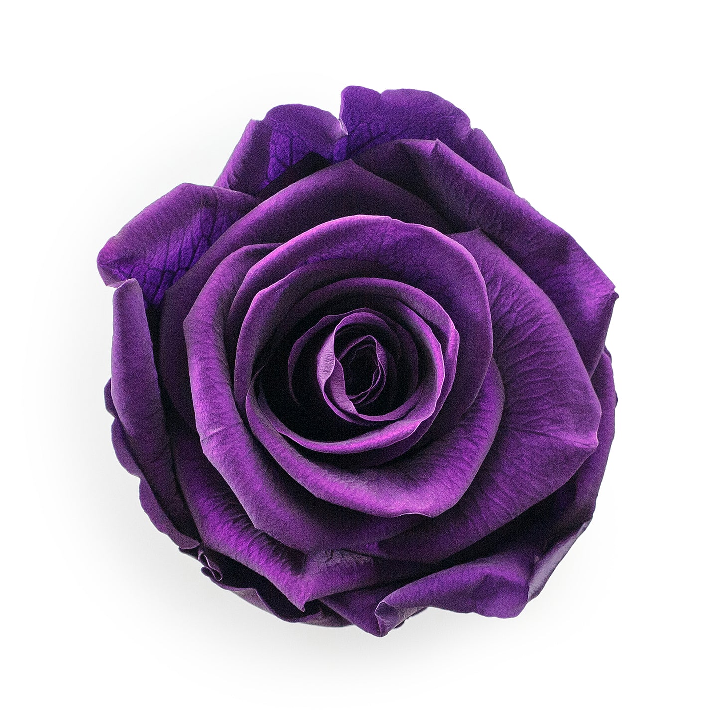 Forever Roses & M Round Pink Hat Box