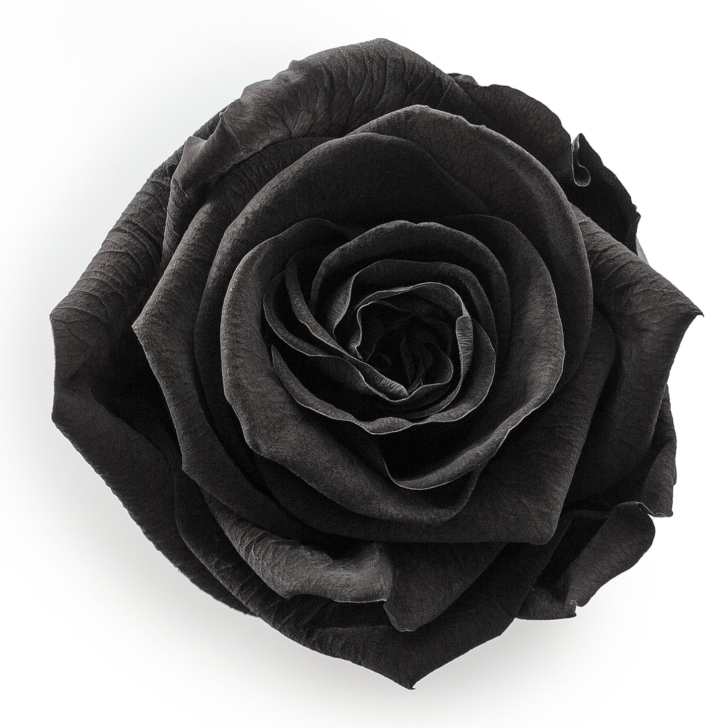 Forever Roses & Extra Small Heart Shaped Black Box