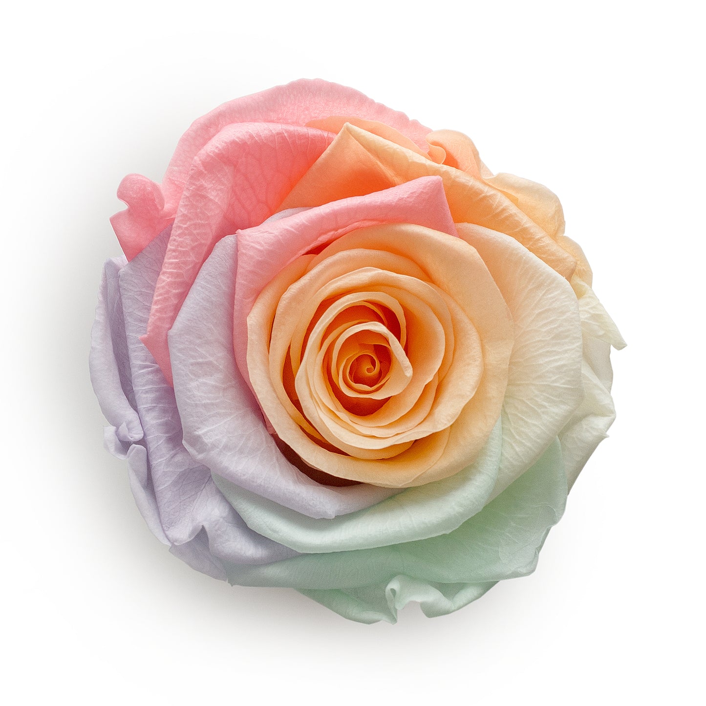 Forever Roses & M Round Pink Hat Box