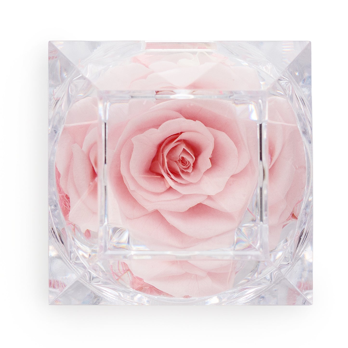 Light Pink - Preserved Rose Crystal Look Ring Box