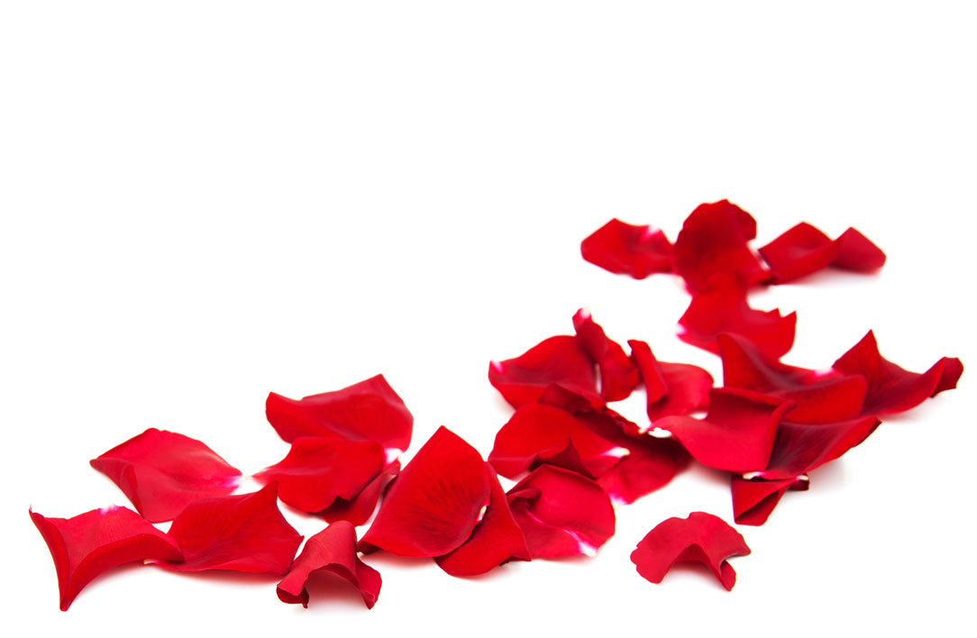 rose pedals Preserved Red Rose Petals – Flowers First