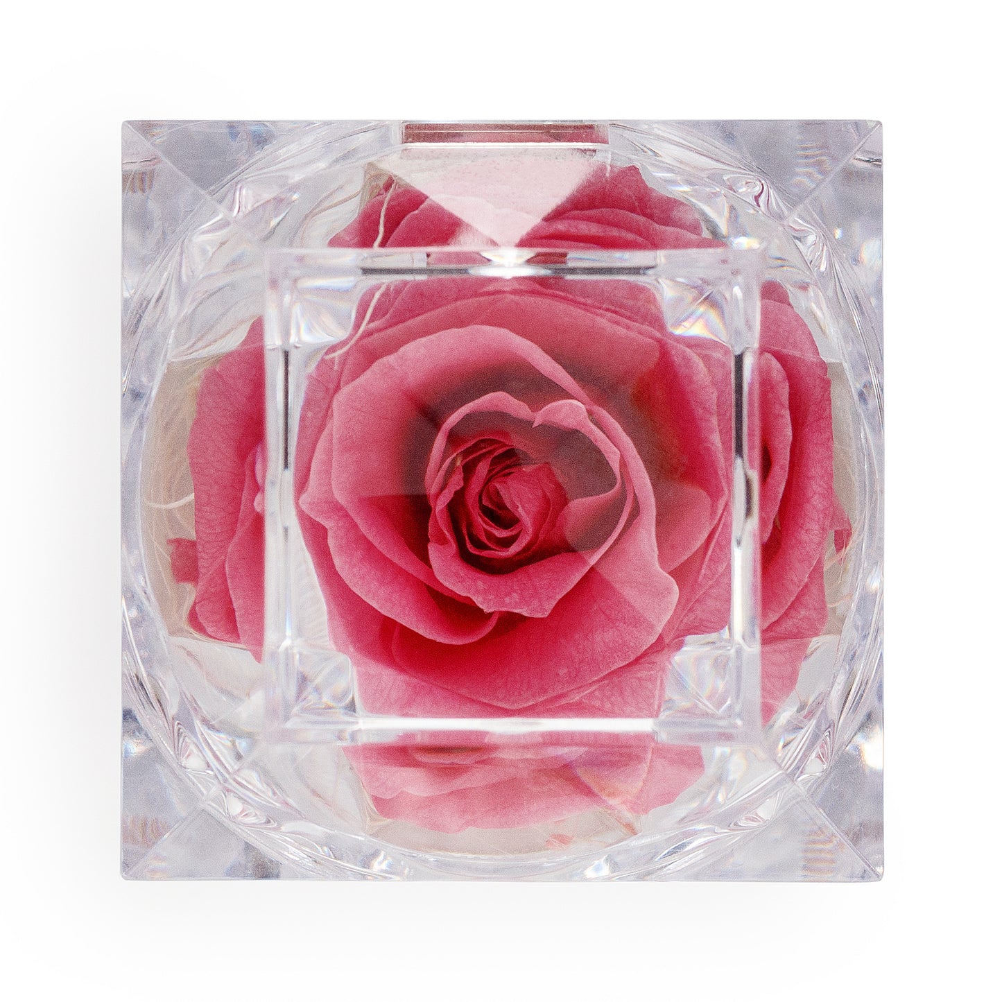 Preserved Pink Rose Crystal-Look Ring Box