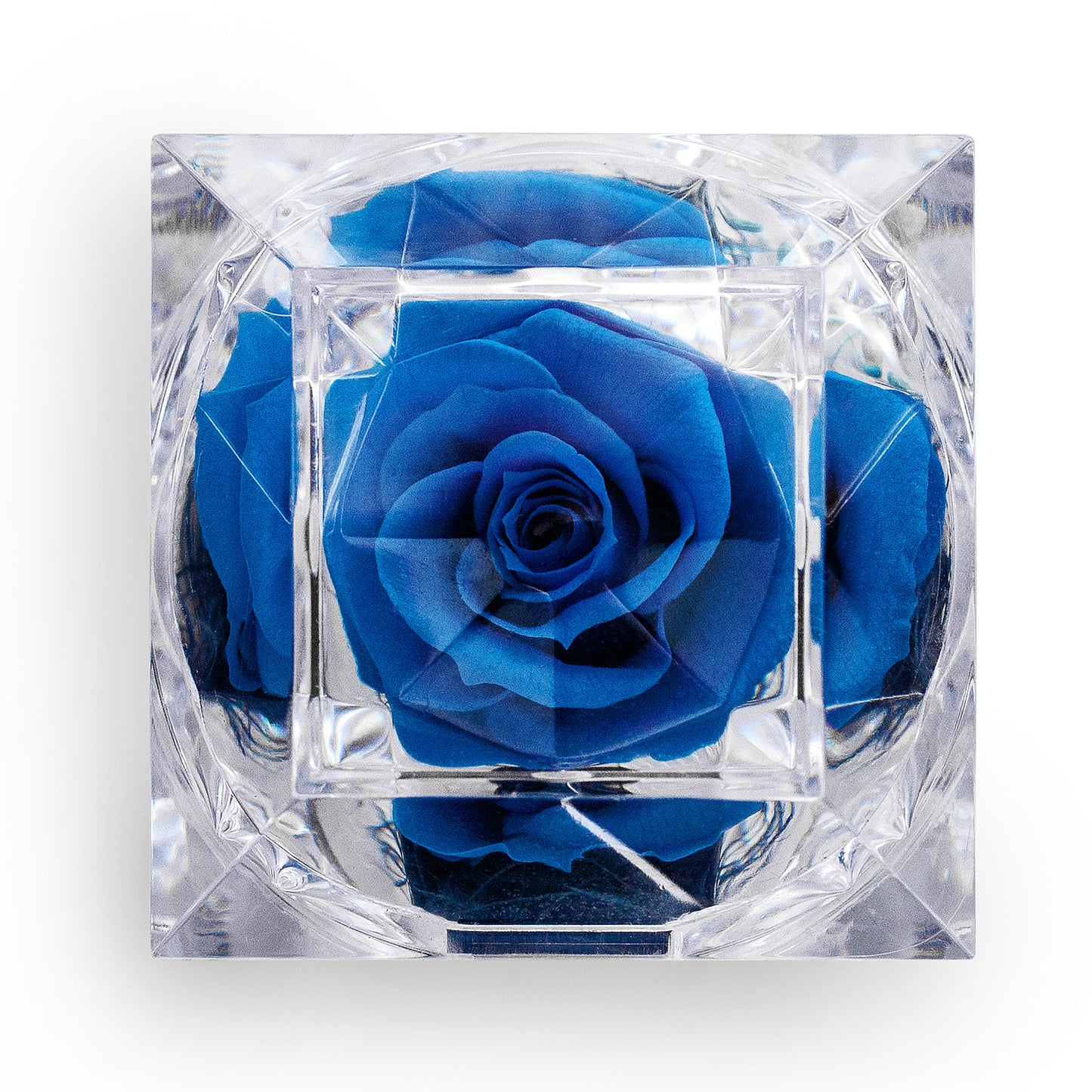 Preserved Royal Blue Rose Crystal-Look Ring Box