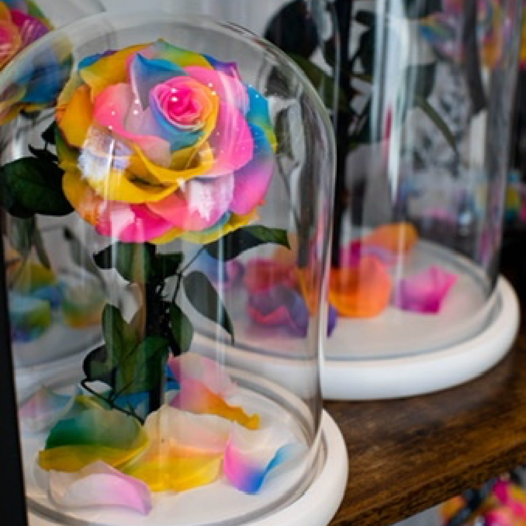Medium Rainbow Rose in White Glass Dome
