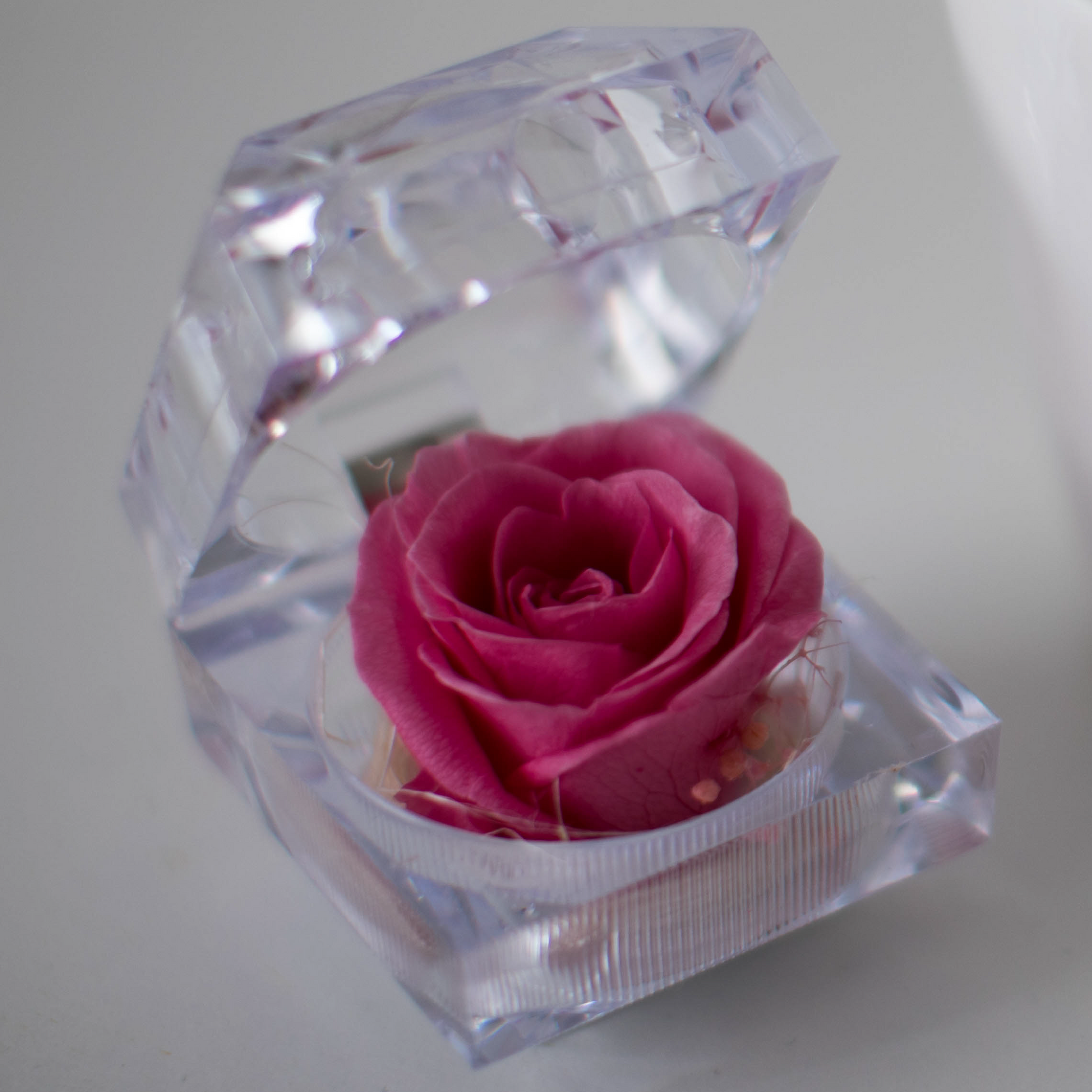 Konservierte rosa Rose Ringbox im Kristall-Look