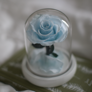 Kleine babyblaue Infinity-Rose in Glaskuppel