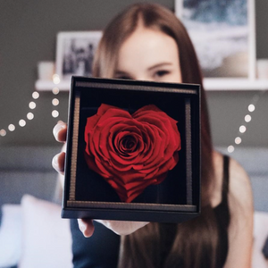 Luxuriöse konservierte Rose in Herzform – schickes Etui