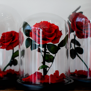 Medium Red Infinity Rose in Glass Dome