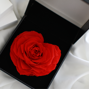 Herzförmige handgefertigte konservierte Rose
