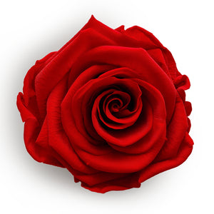 Forever Roses &amp; S Runde rosa Hutschachtel