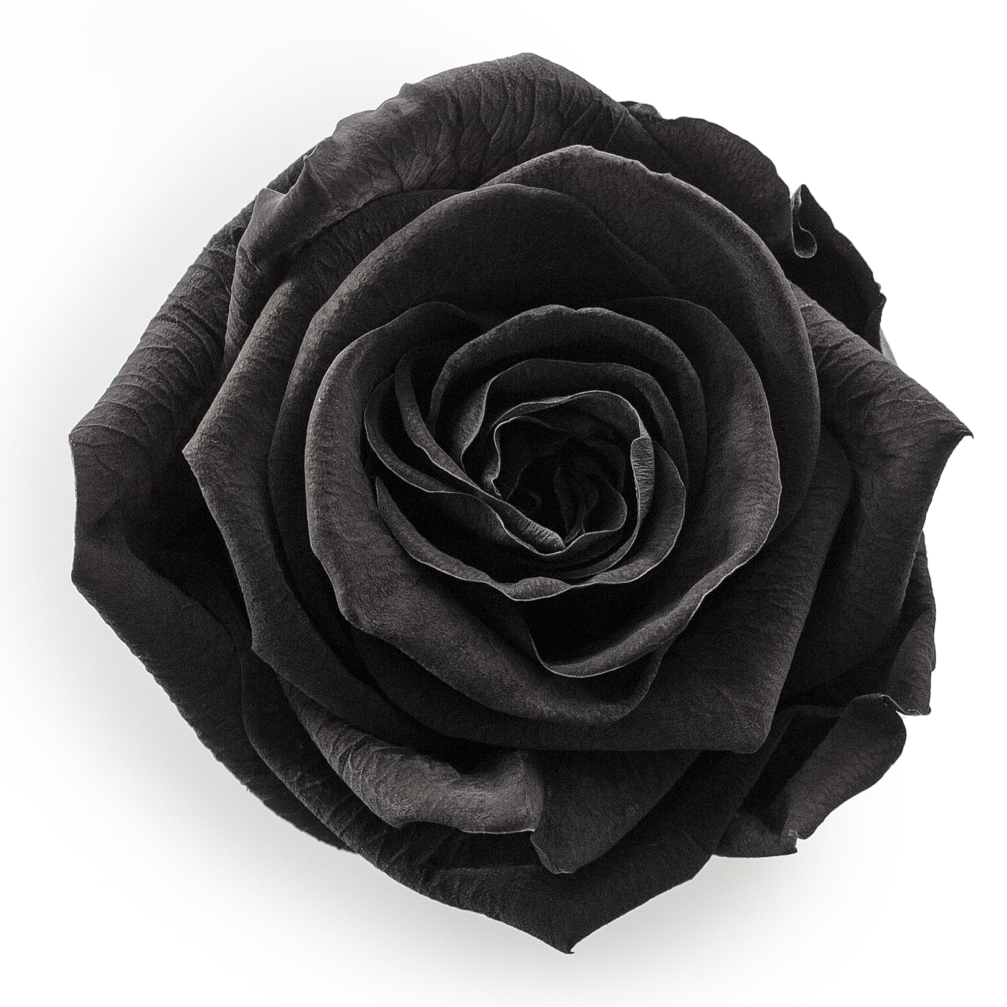 Forever Roses & S Round Black Hat Box