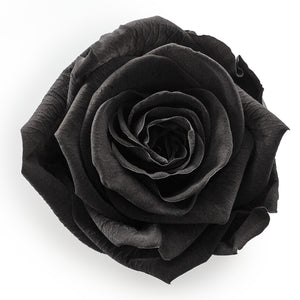 Forever Roses &amp; S Runde schwarze Hutschachtel