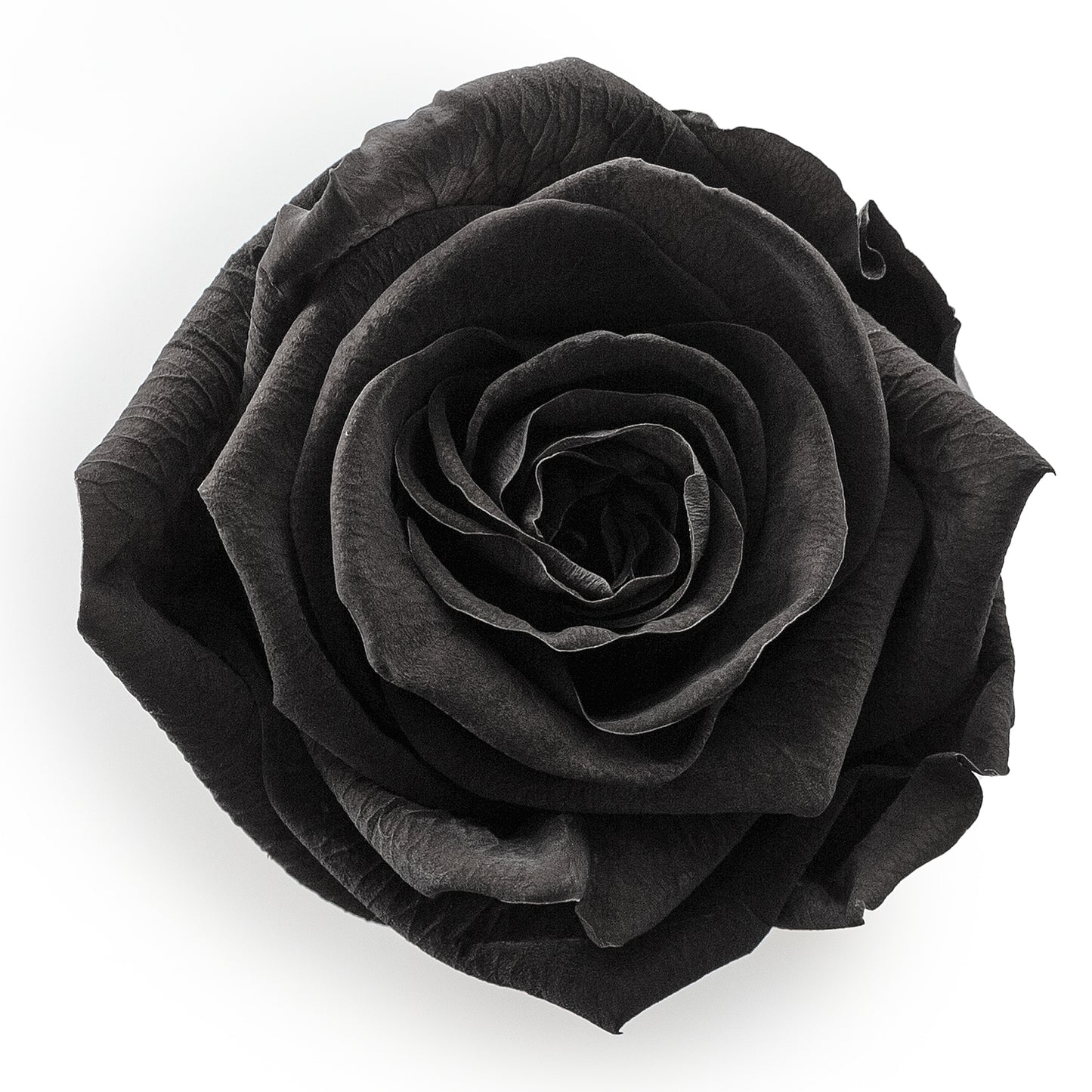Forever Roses & M Round Black Hat Box