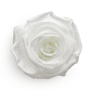 Forever Roses &amp; M Runde weiße Hutschachtel