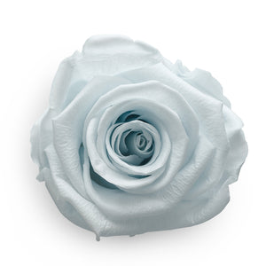 Forever Roses &amp; kleine herzförmige weiße Box