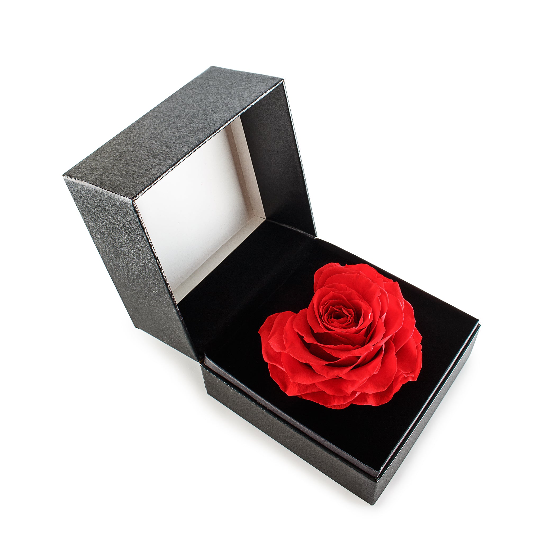 Heart Shaped Preserved Rose-3
