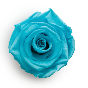 Forever Roses &amp; M Runde blaue Hutschachtel
