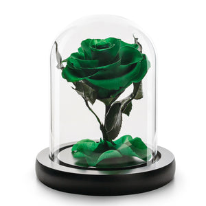 Eternity Green Rose in Glass Dome -1