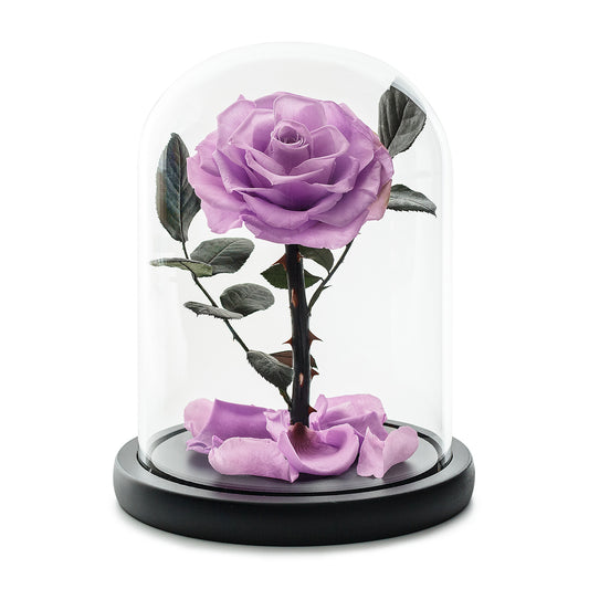 Purple Infinity Rose in Glass Dome -1