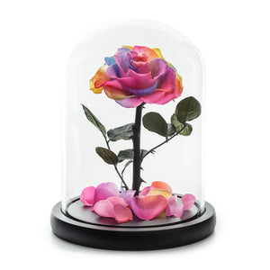 Rainbow Infinity Rose in Black Glass Dome -1