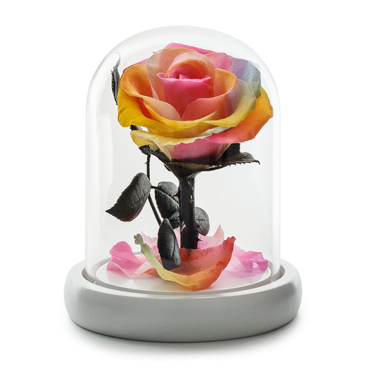 Rainbow Eternity Rose in Glass Dome -1