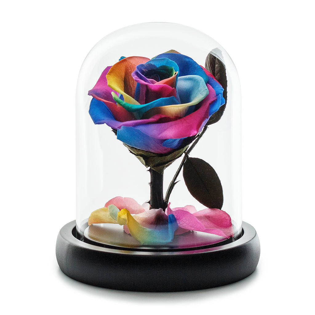 Dark Rainbow Eternity Rose in Glass Dome -1