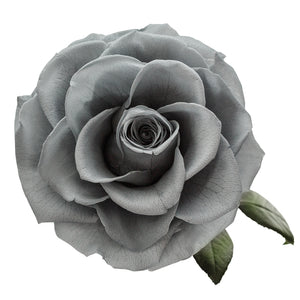 Grey Eternity Rose in Glass Dome -2