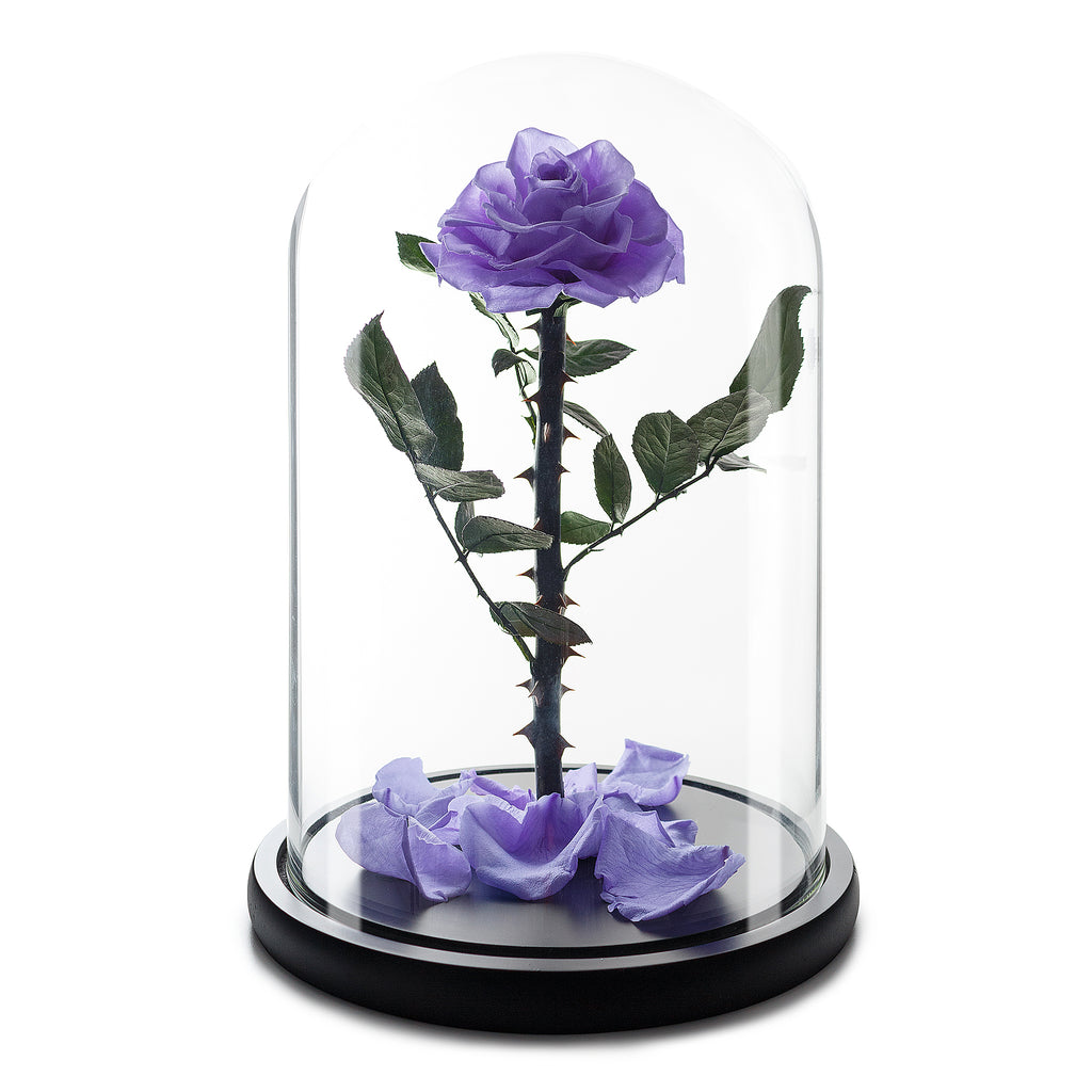 Violet Eternity Rose in Glass Dome -1