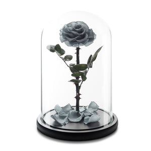 Grey Eternity Rose in Glass Dome -1