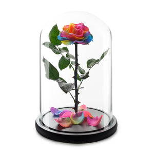 Rainbow Eternity Rose in Glass Dome -1