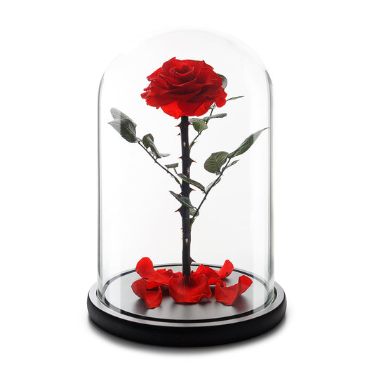 Red Eternity Rose in Glass Dome -1