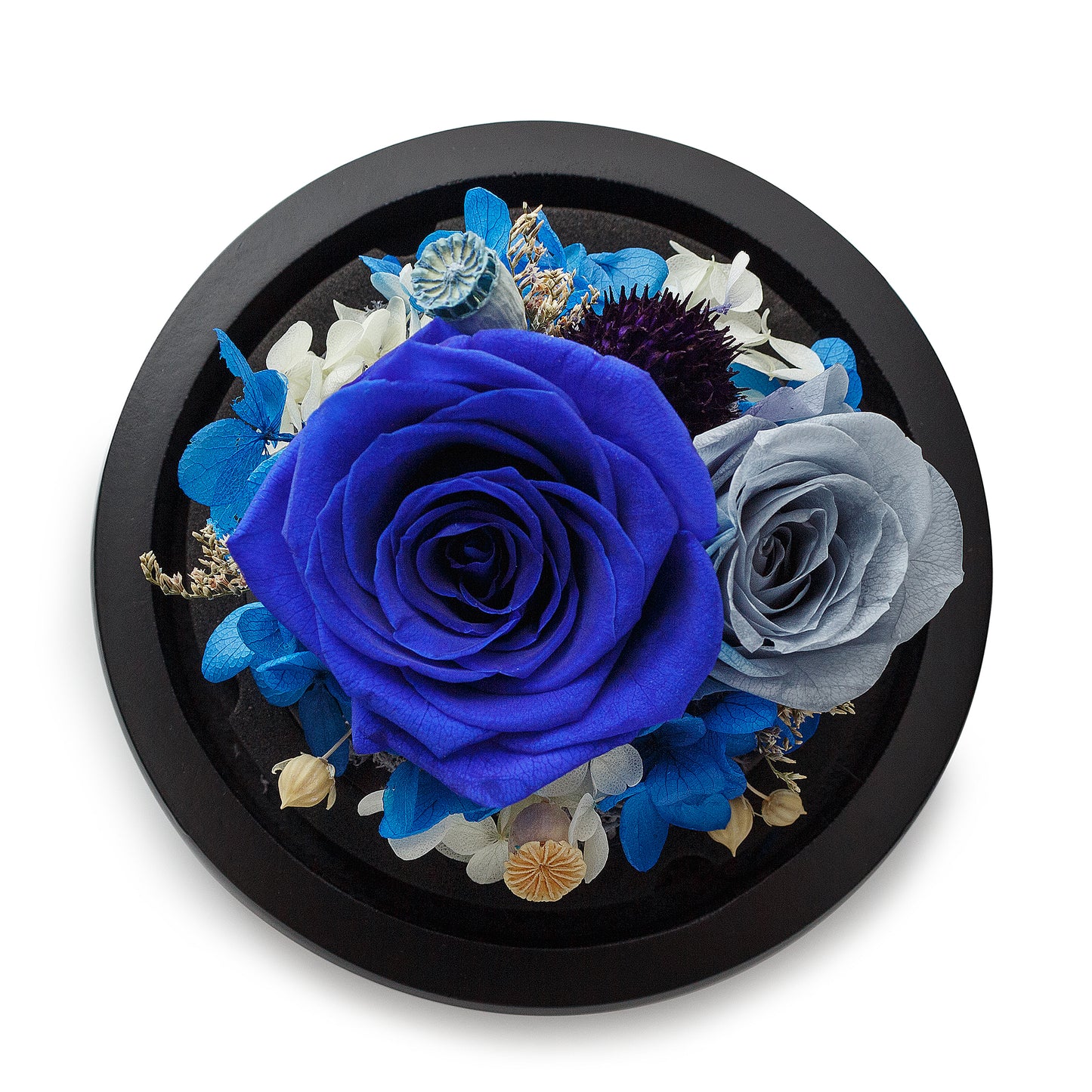 Royal Blue Infinity Rose in Glass Dome
