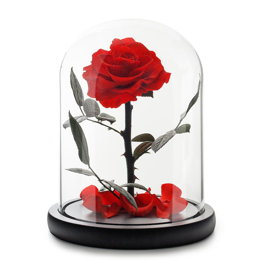 Red Infinity Rose in Glass Dome