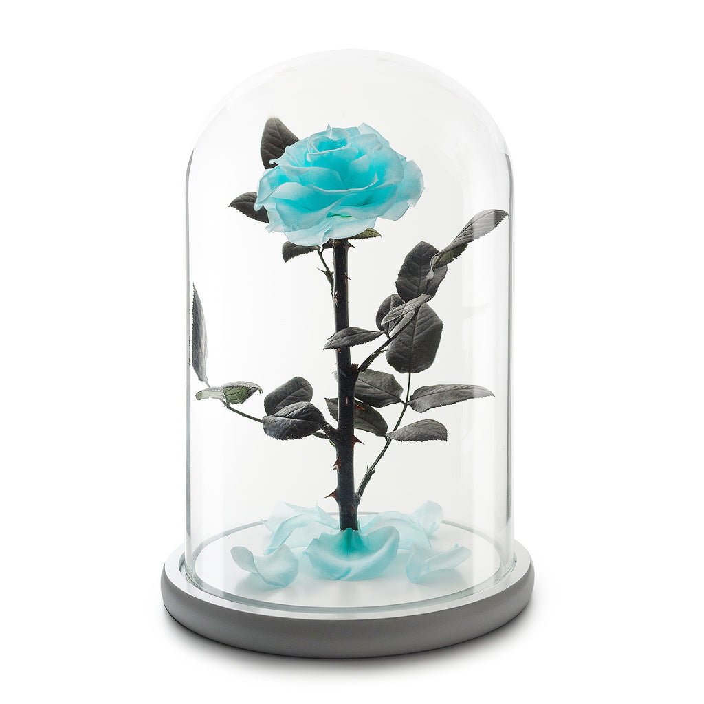 Tiffany Eternity Rose in Glass Dome -1