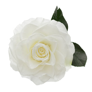 Enchanted Eternity White Rose in Glass Dome -2