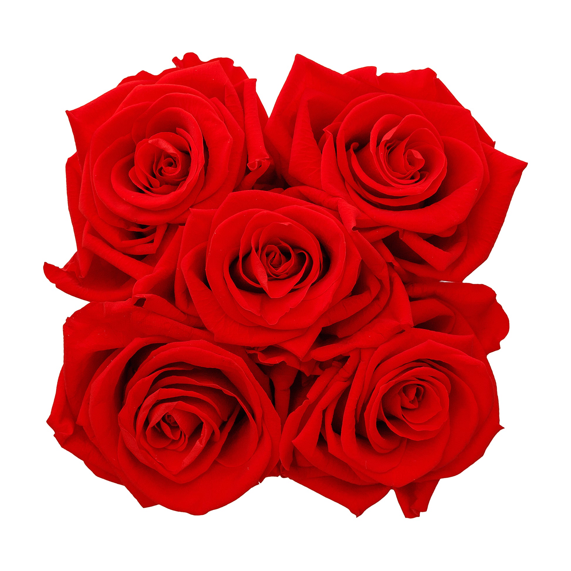 Red Roses & S Square Black Hat Box -3