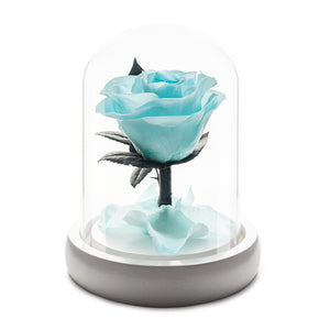 Tiffany Infinity Rose in Glass Dome -1