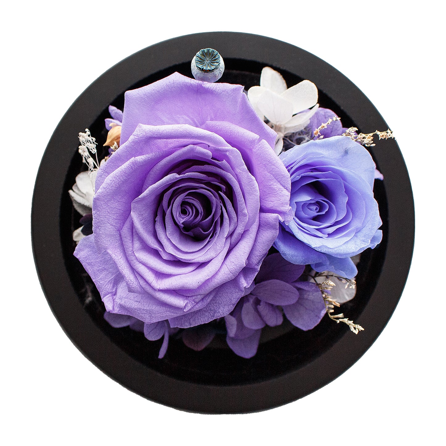 Violet Infinity Rose in Glass Dome