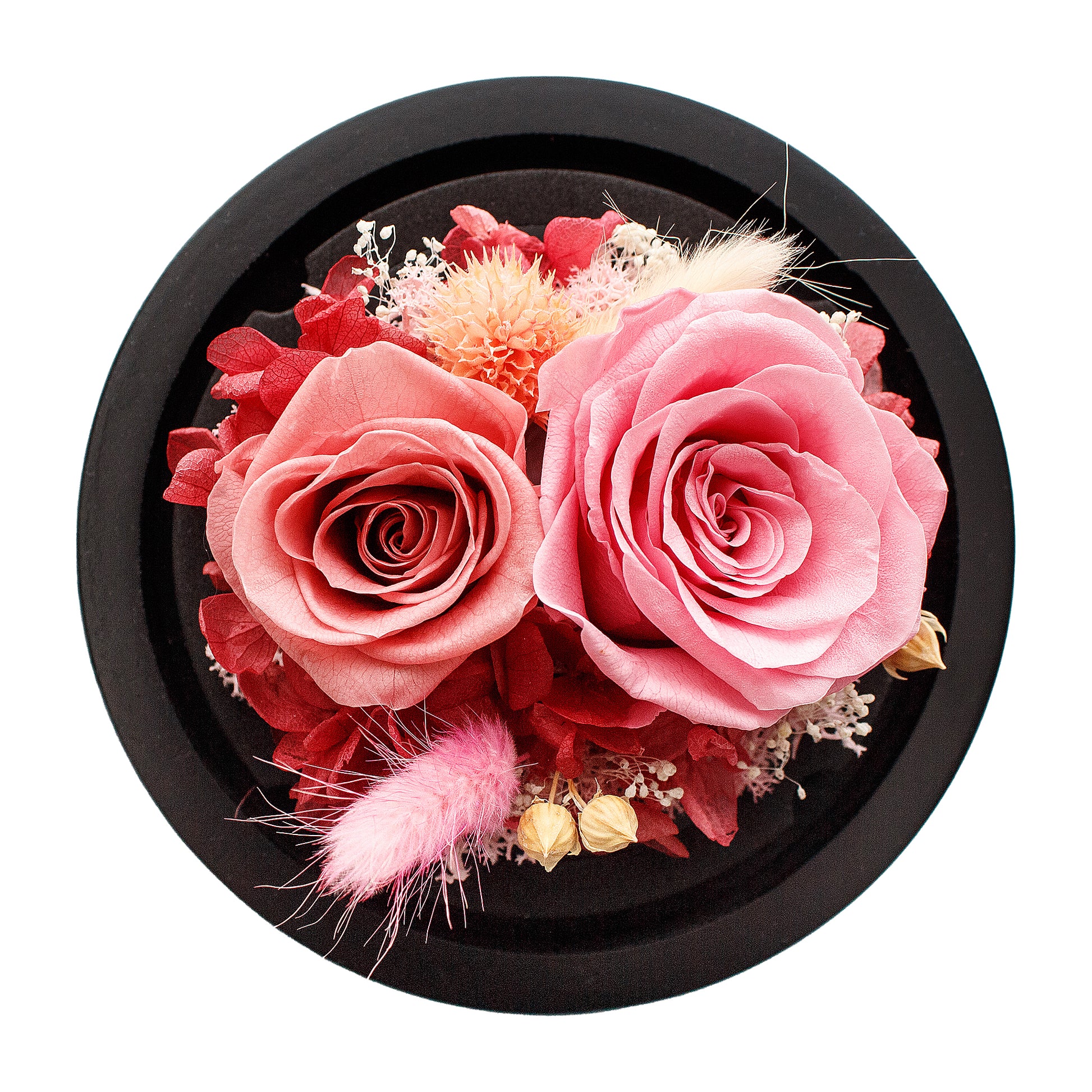 Pink Infinity Rose in Glass Dome -2