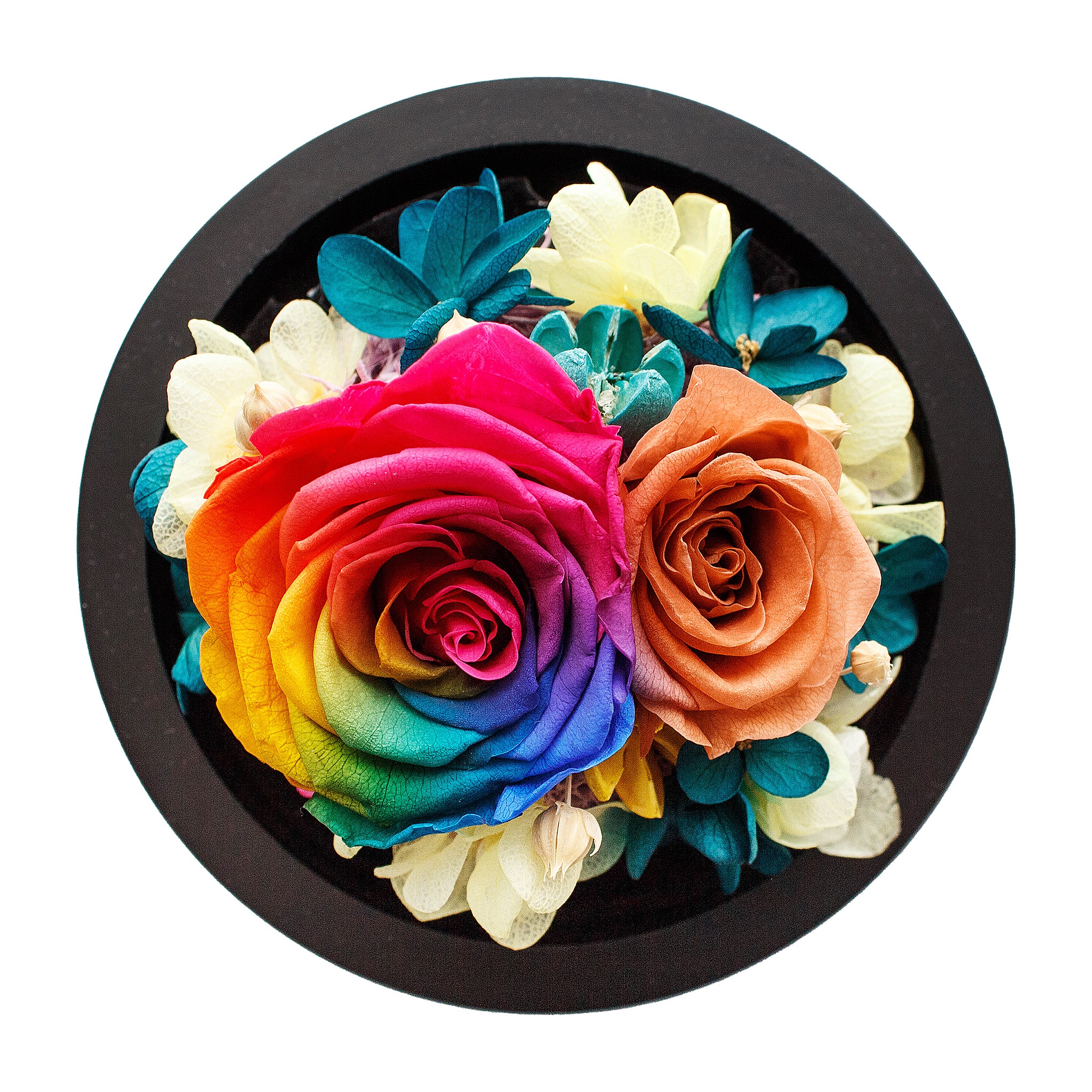 Rainbow Infinity Rose in Glass Dome -2