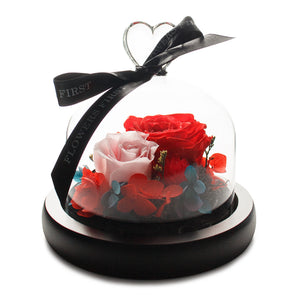 Eternity Red Rose in Glass Dome -1