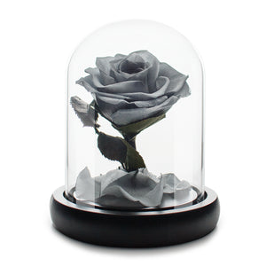 Kleine graue Infinity-Rose in Glaskuppel