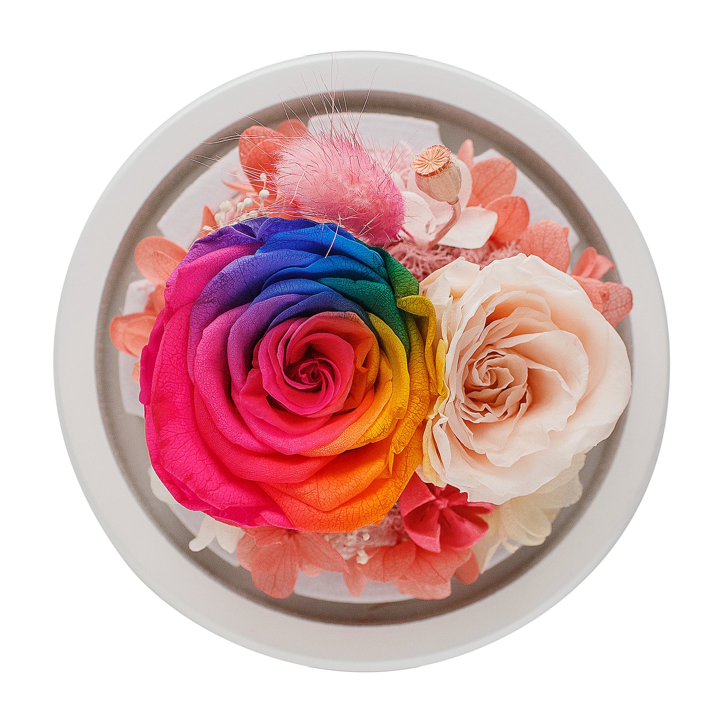 Rainbow Infinity Rose in White Glass Dome