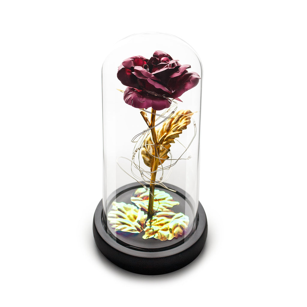 Fuchsia Rose & LED