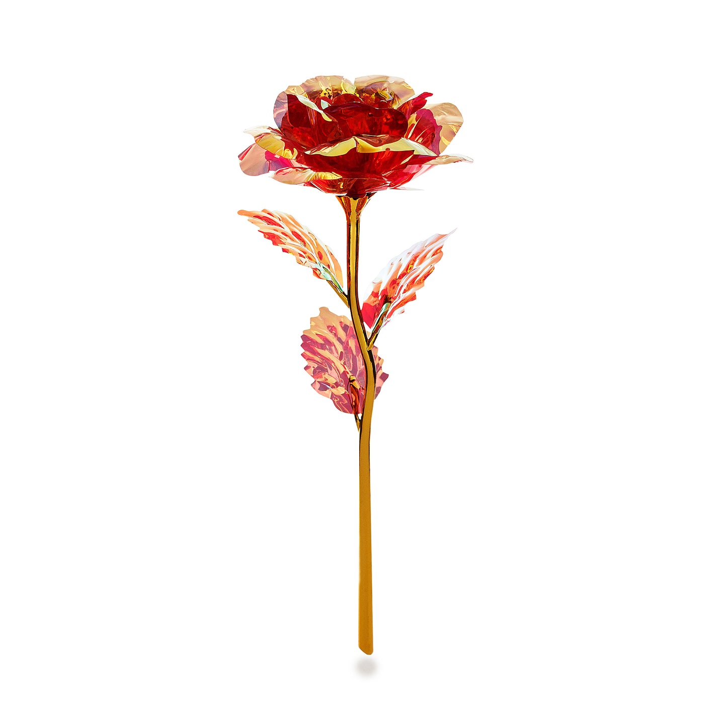 Golden Red Rose
