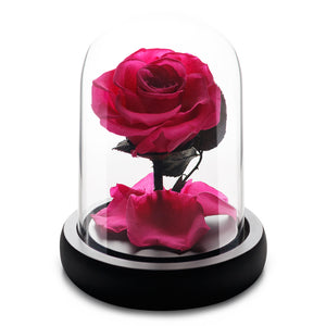 Small Fuchsia Infinity Rose in Glass Dome