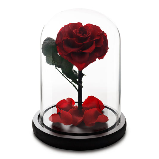 Red Heart Infinity Rose in Glass Dome