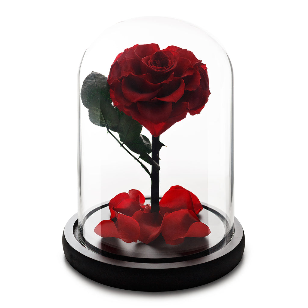 Mittelgroße Infinity-Rose in Herzform in Glaskuppel